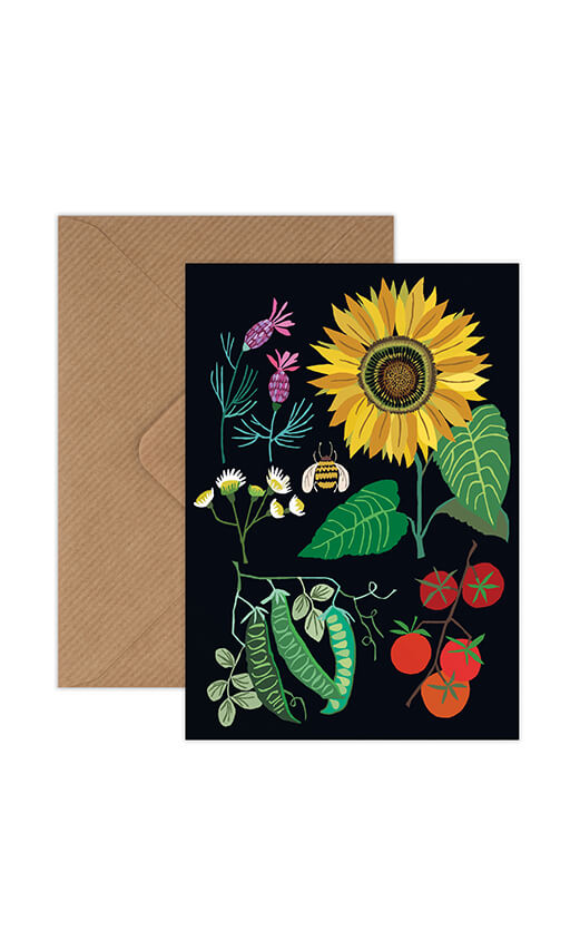 Sunflower Plot Greetings Card