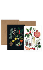 Christmas Greetings Card Pack - December & Winter Foliage