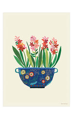 Hyacinths Print