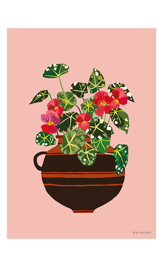 Begonia Print