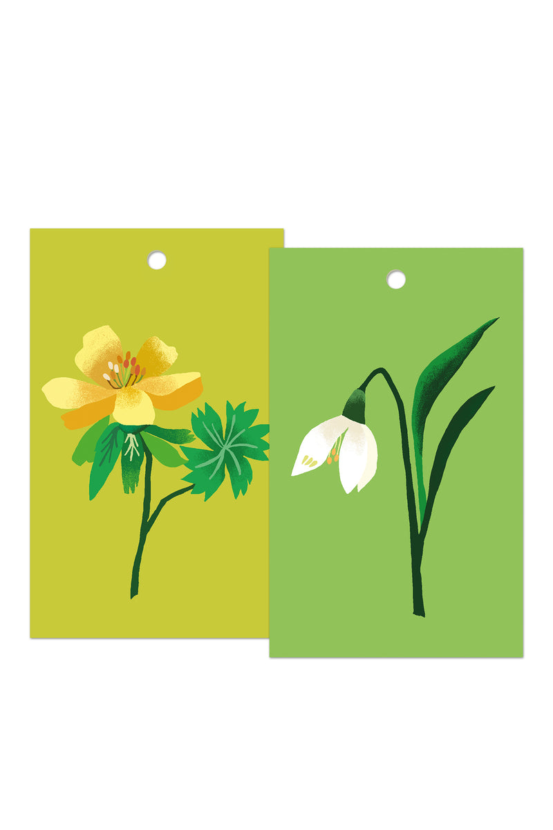 Snowdrop Gift Tags Pack