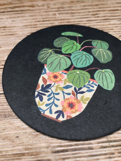 Drinks Coasters- reversible designs- Pilea & Mimosa