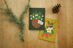 Christmas Greetings Card Pack - Snowdrop & Merry Christmas