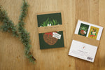 Christmas Greetings Card Pack - Snowdrop & Merry Christmas