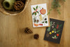 Christmas Greetings Card Pack - December & Winter Foliage