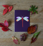 Dragonfly Mini Card