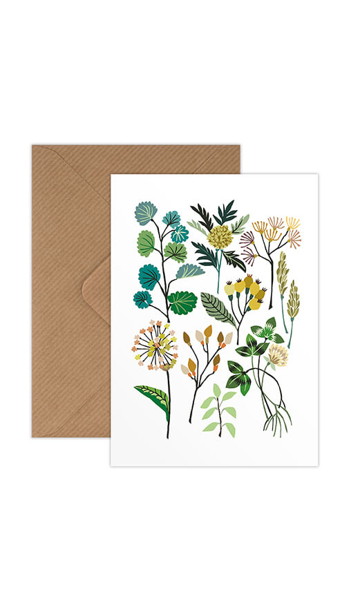 Hedgerow Greetings Card - Wholesale bundle of 6