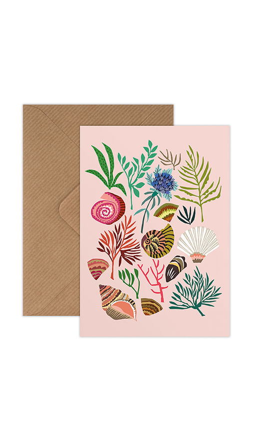 Shells & Seaweed Greetings Card