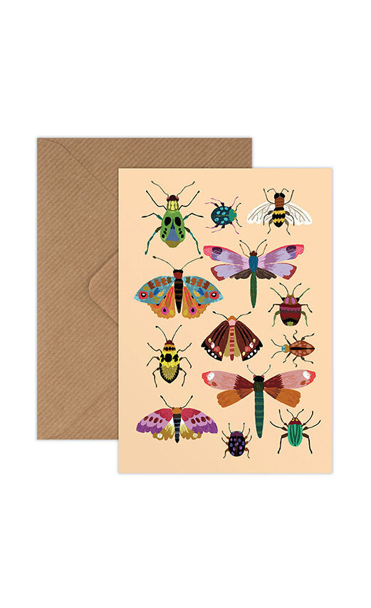 Insects Greetings Card - Wholesale bundle of 6