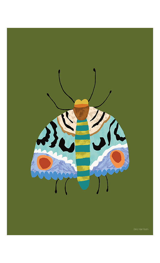 Moth Print A4