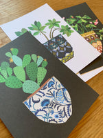 House Plant Series Postcard Pack