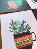 Pot Plant Series Postcard Pack
