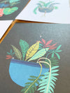 Pot Plant Series Postcard Pack